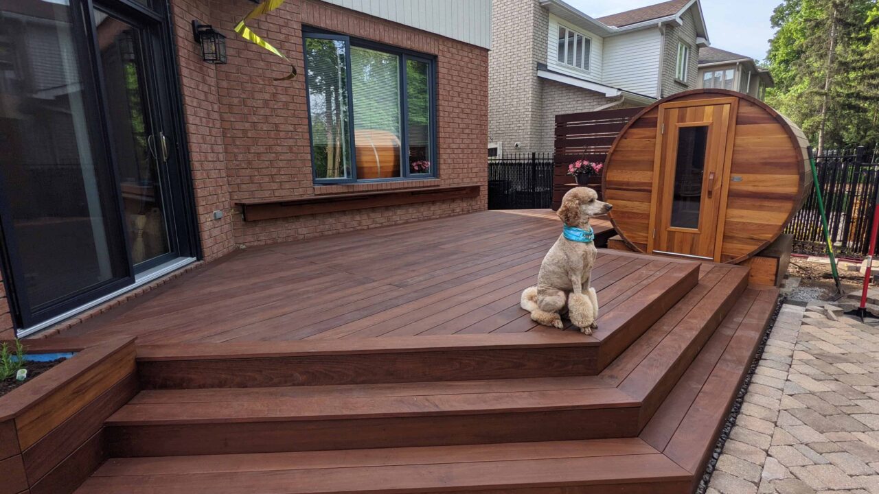 Oiled IPE deck and stair with dog standing on the deck
